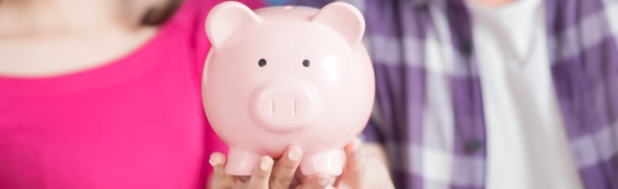 holding-piggy-bank-annual-income